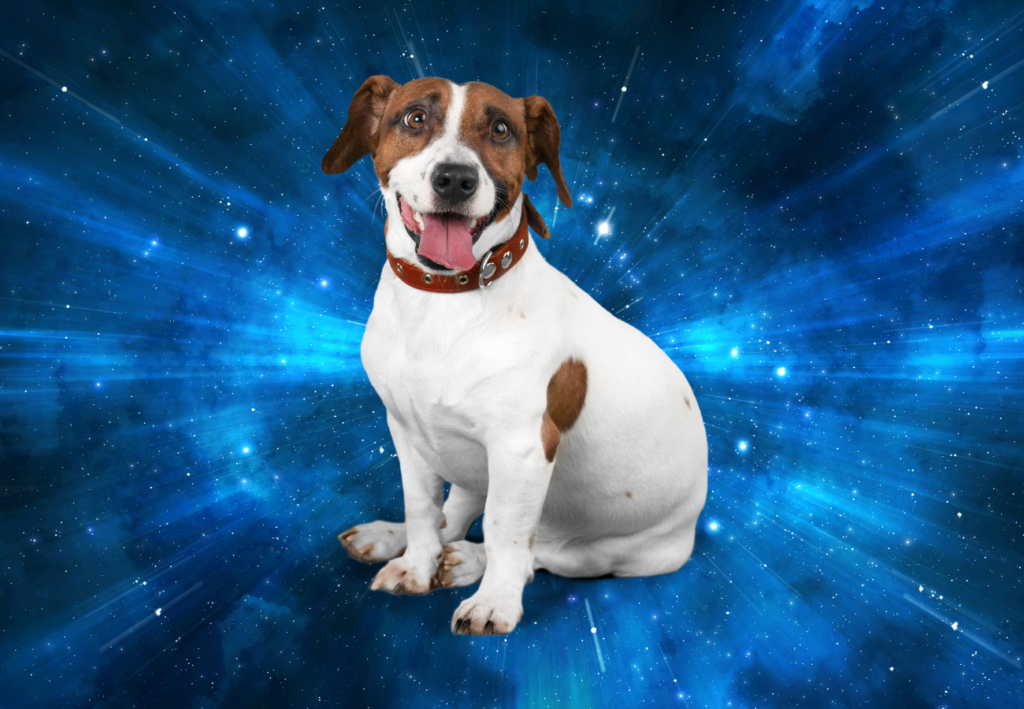 Ilustračný zaber ako pes sedí vo vesmíre 