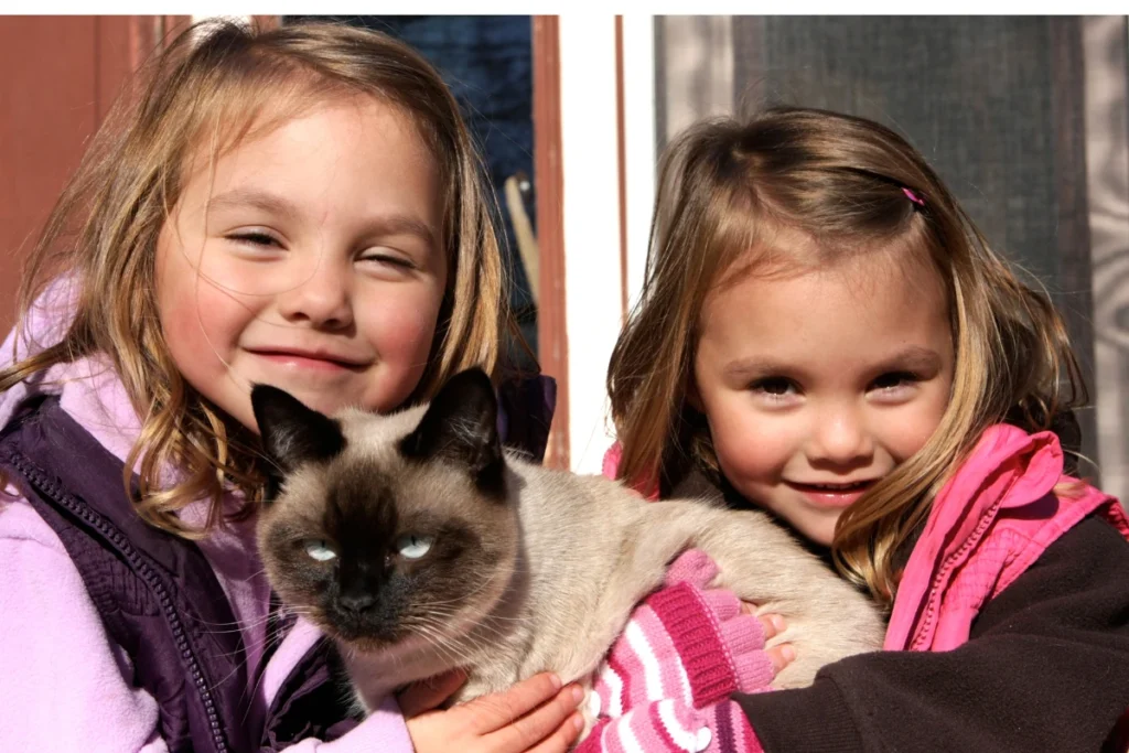 mačka v náručí dvoch dievčat