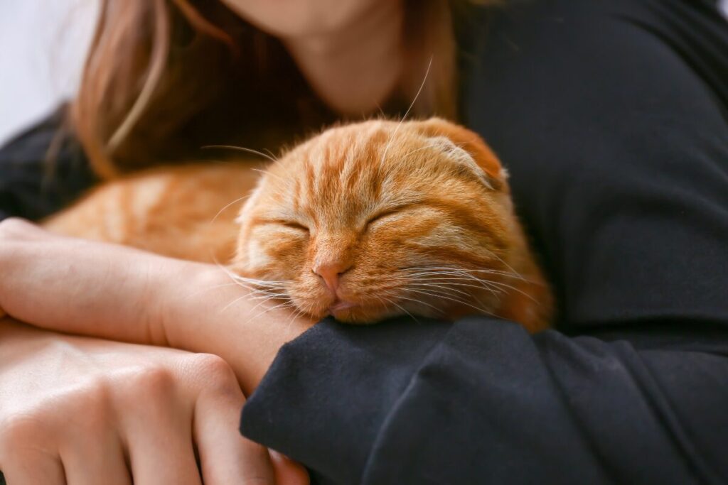 Mačka spí v náručí ženy