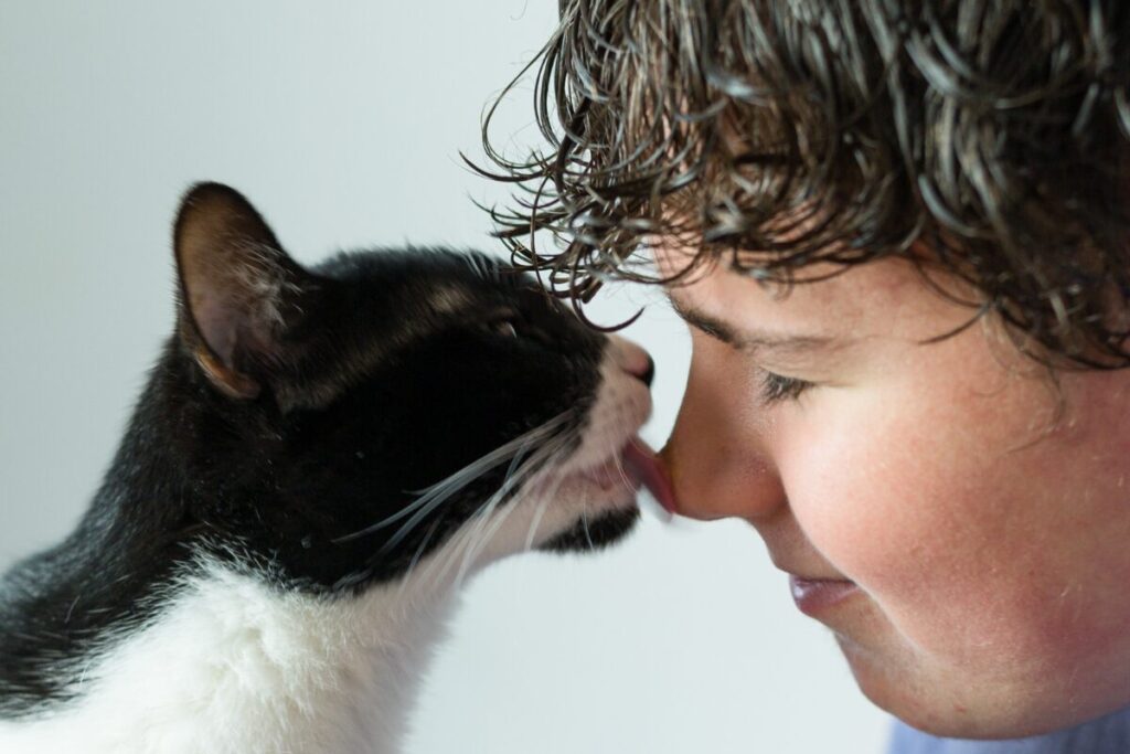 Mačka jemne olízala tvár chlapca a dala mu tím najavo lásku medzi človekom a mačkou