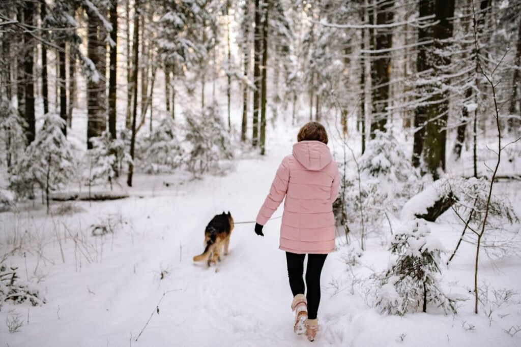 Prechádzka v zime v lese so psom