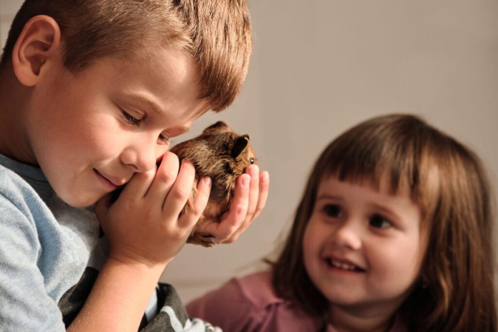 Detail ako dve malé deti držia v rukach malé morča domáce