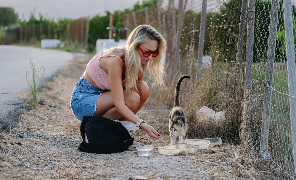 Mlada žena pomáha pouličnej mačke