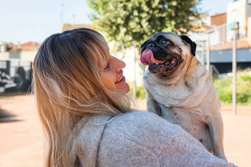 Mops v naručí veselej ženy