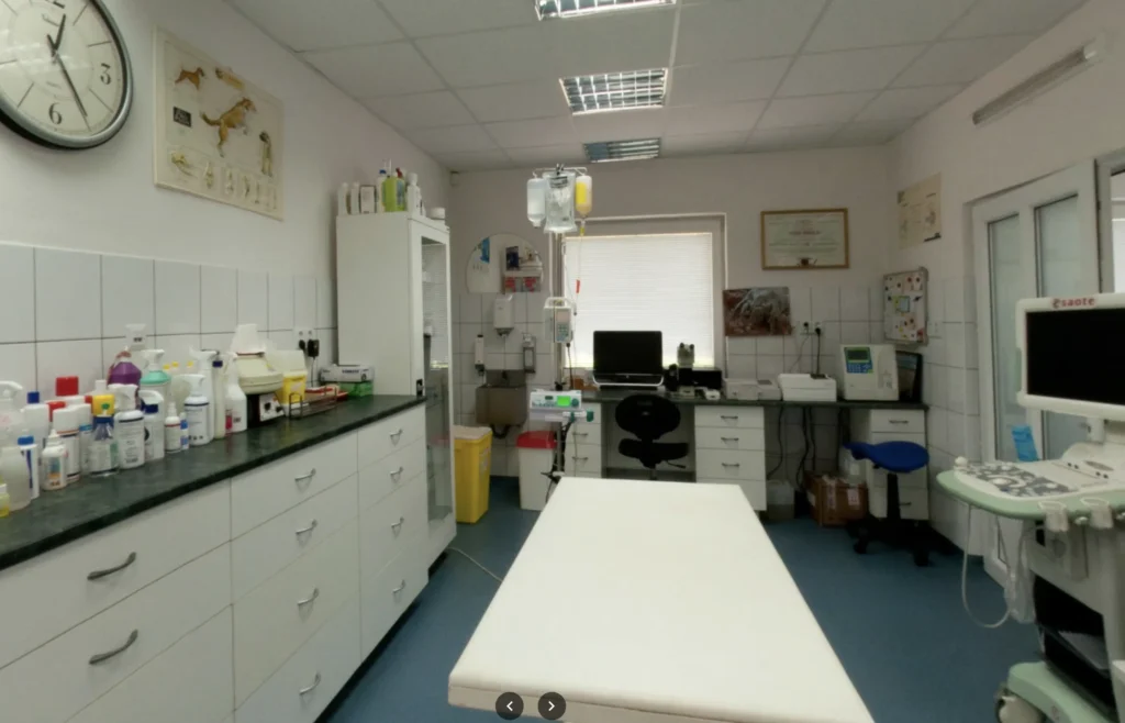 Veterinárius – veterinárna ambulancia